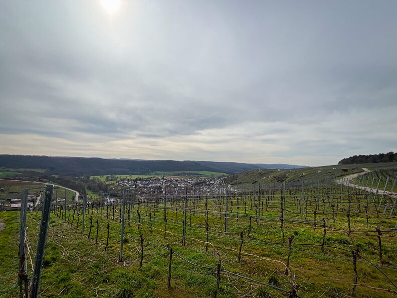 23-03-17 14-01-16 4914